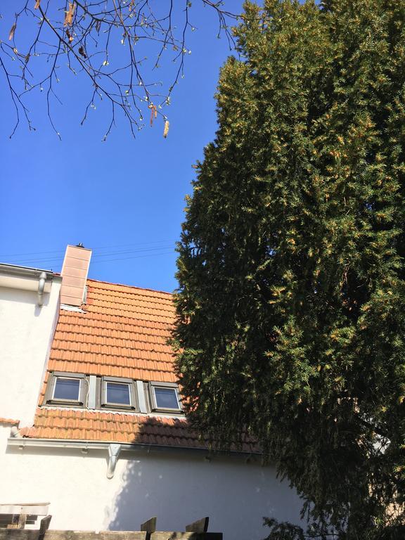Pension Haus Baron 2 Friedrichsfeld 에딘겐넥카르하우젠 외부 사진
